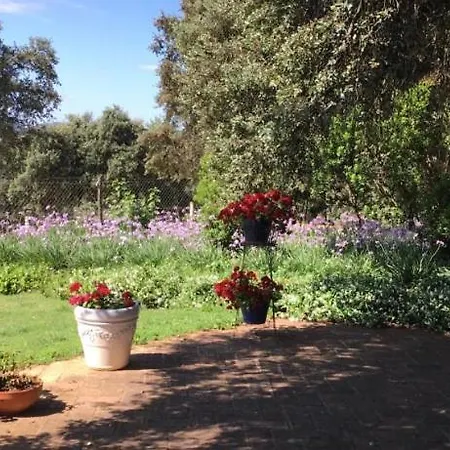 Finca El Encinar, Country House In Alanis, Andalusia El Encinar