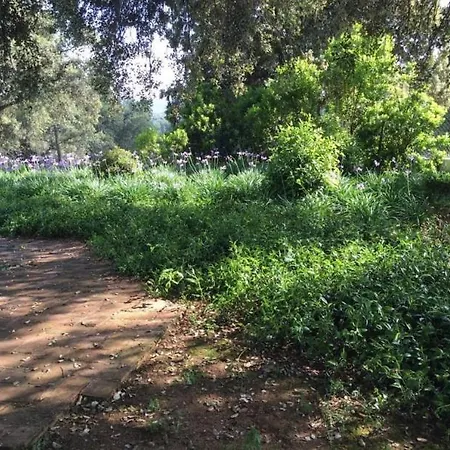 Finca El Encinar, Country House In Alanis, Andalusia Villa *